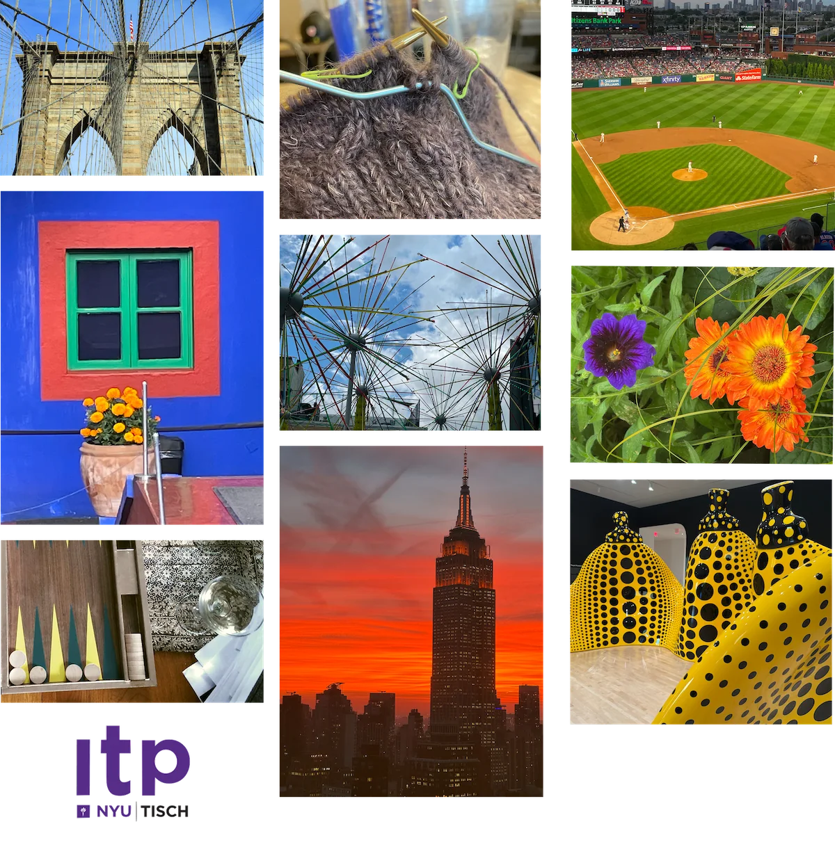 A collage of six images including a bridge, a baseball game, a street sign reading 'Boerum Pl,' a modern glass sculpture, a stack of books with a skull decoration, and a person knitting.